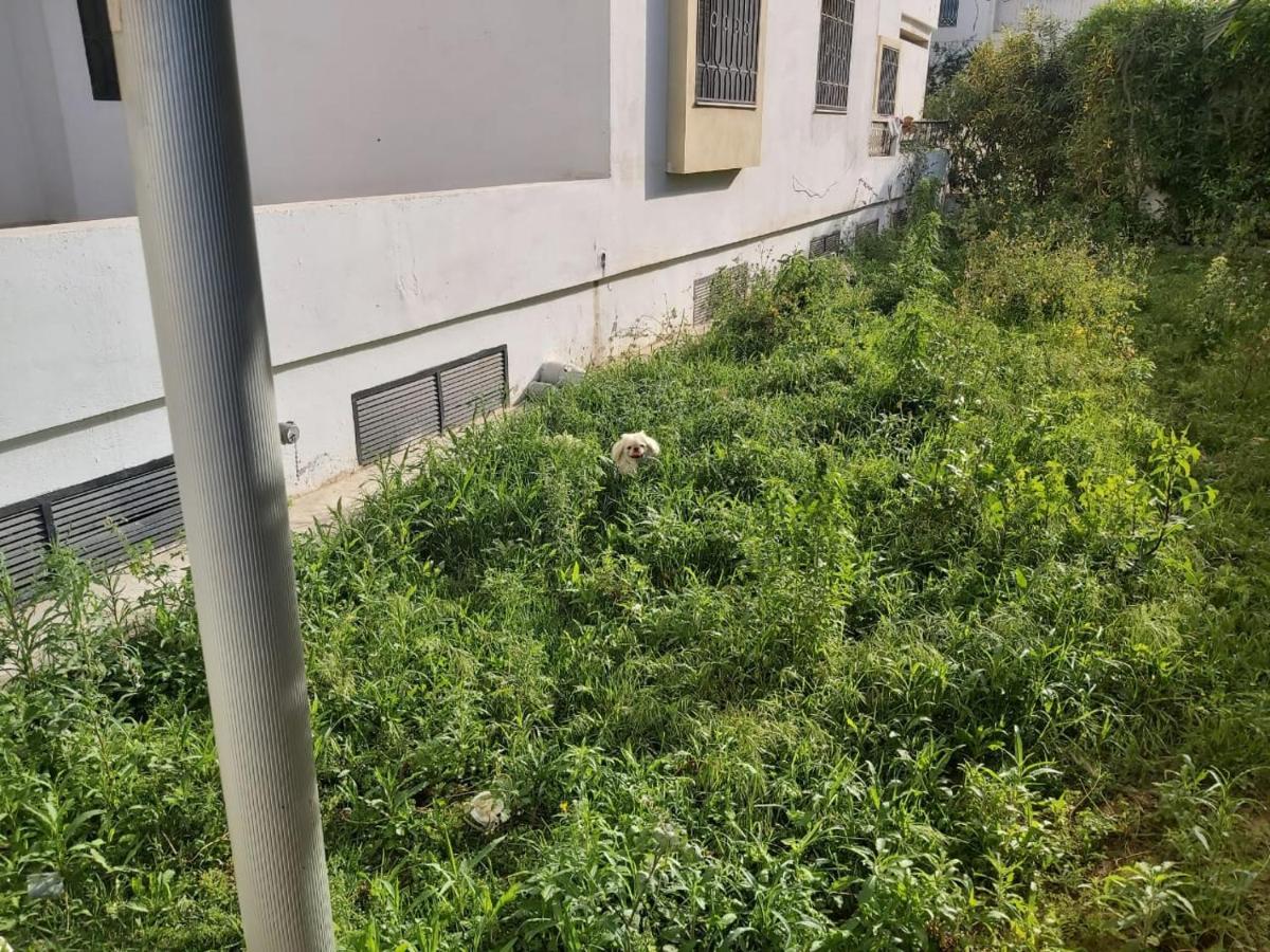 Ideal Appart Ain Zaghouan Tunis El Aouina Extérieur photo